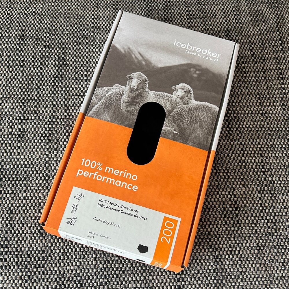 Icebreaker Oasis Boy Shorts Women's Size Large NWT